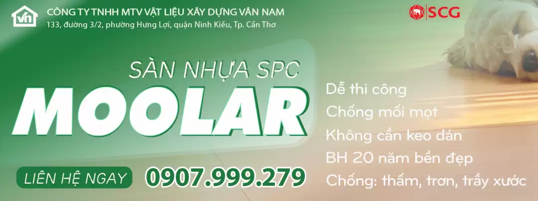 Tấm lót sàn nhựa SPC Moolar - SCG